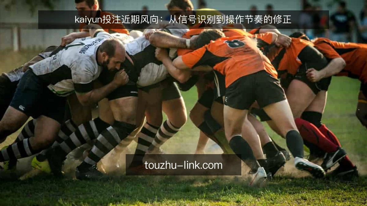 kaiyun投注近期风向:从信号识别到操作节奏的修正