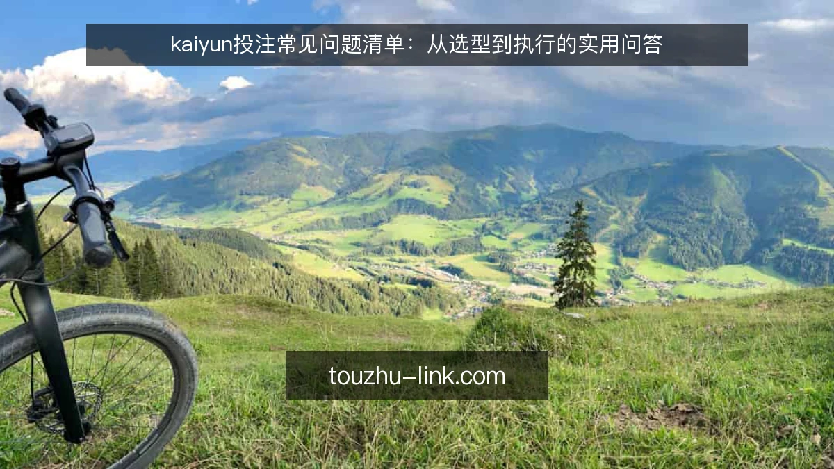 kaiyun投注常见问题清单:从选型到执行的实用问答