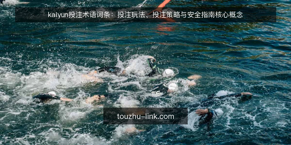 kaiyun投注术语词条：投注玩法、投注策略与安全指南核心概念 — kaiyun投注相关术语速览 配图