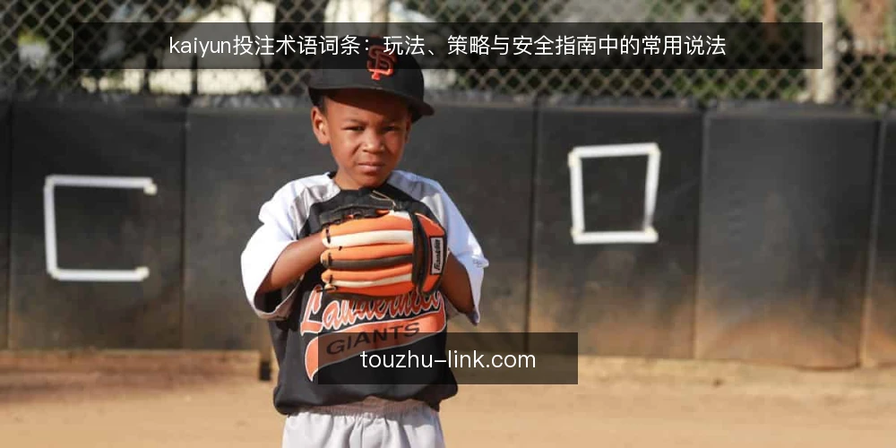 kaiyun投注术语词条:玩法、策略与安全指南中的常用说法 — 信号词条:哪些术语值得盯 配图