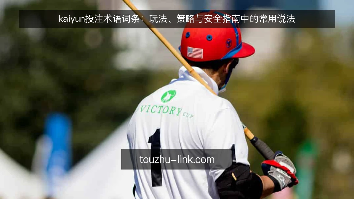 kaiyun投注术语词条:玩法、策略与安全指南中的常用说法