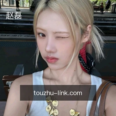 赵磊